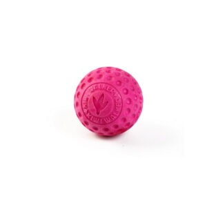 Hračka Kiwi Walker TPR guma míček růžový 6