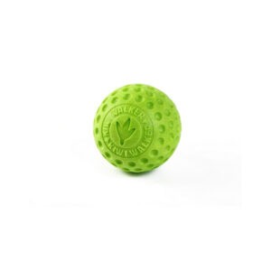 Hračka Kiwi Walker TPR guma míček zelený 6