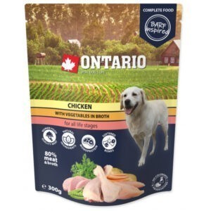 Kapsička Ontario kuřecí se zeleninou ve vývaru 300g