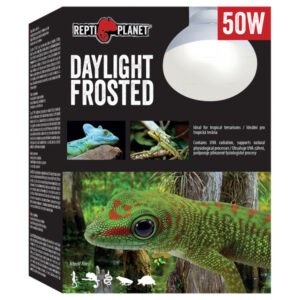 Repti Planet žárovka Daylight Frosted 50W