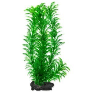 Rostlina Tetra Green Cabomba L 30cm
