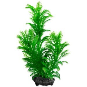 Rostlina Tetra Green Cabomba S 15cm
