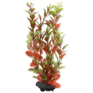 Rostlina Tetra Red Ludwigia M 23cm